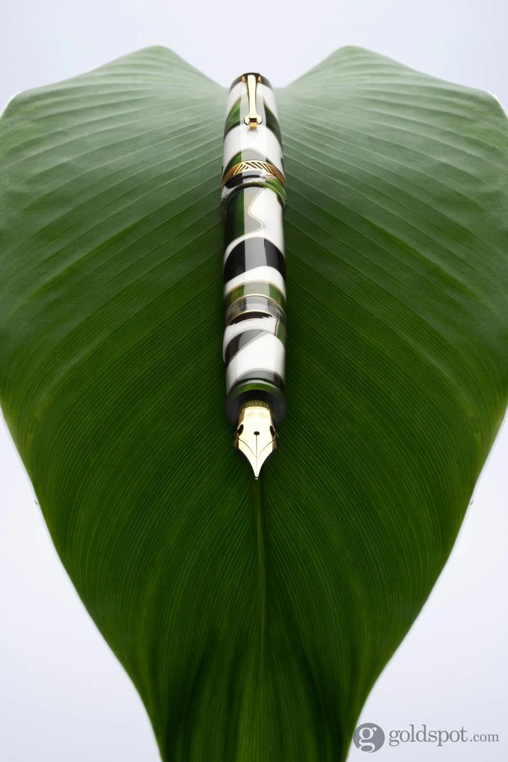 Leonardo Momento Magico Fountain Pen in Foglia - Image 2