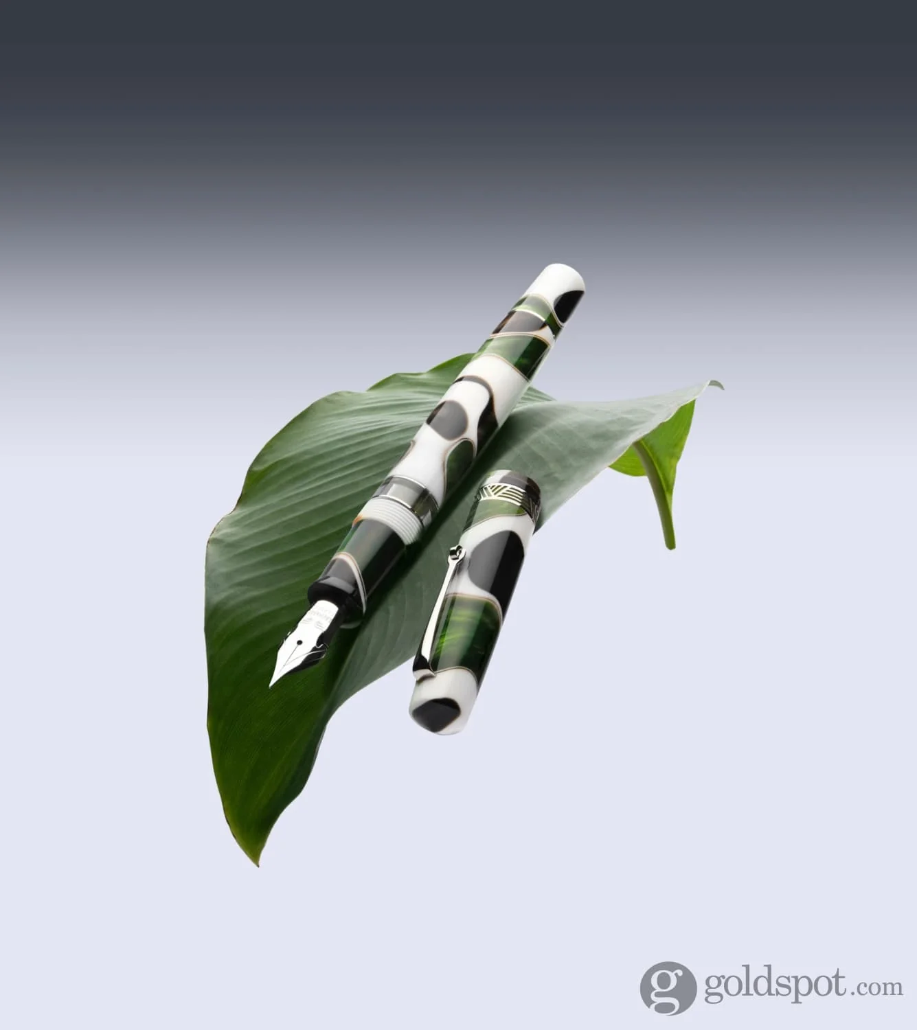 Leonardo Momento Magico Fountain Pen in Foglia - Image 4