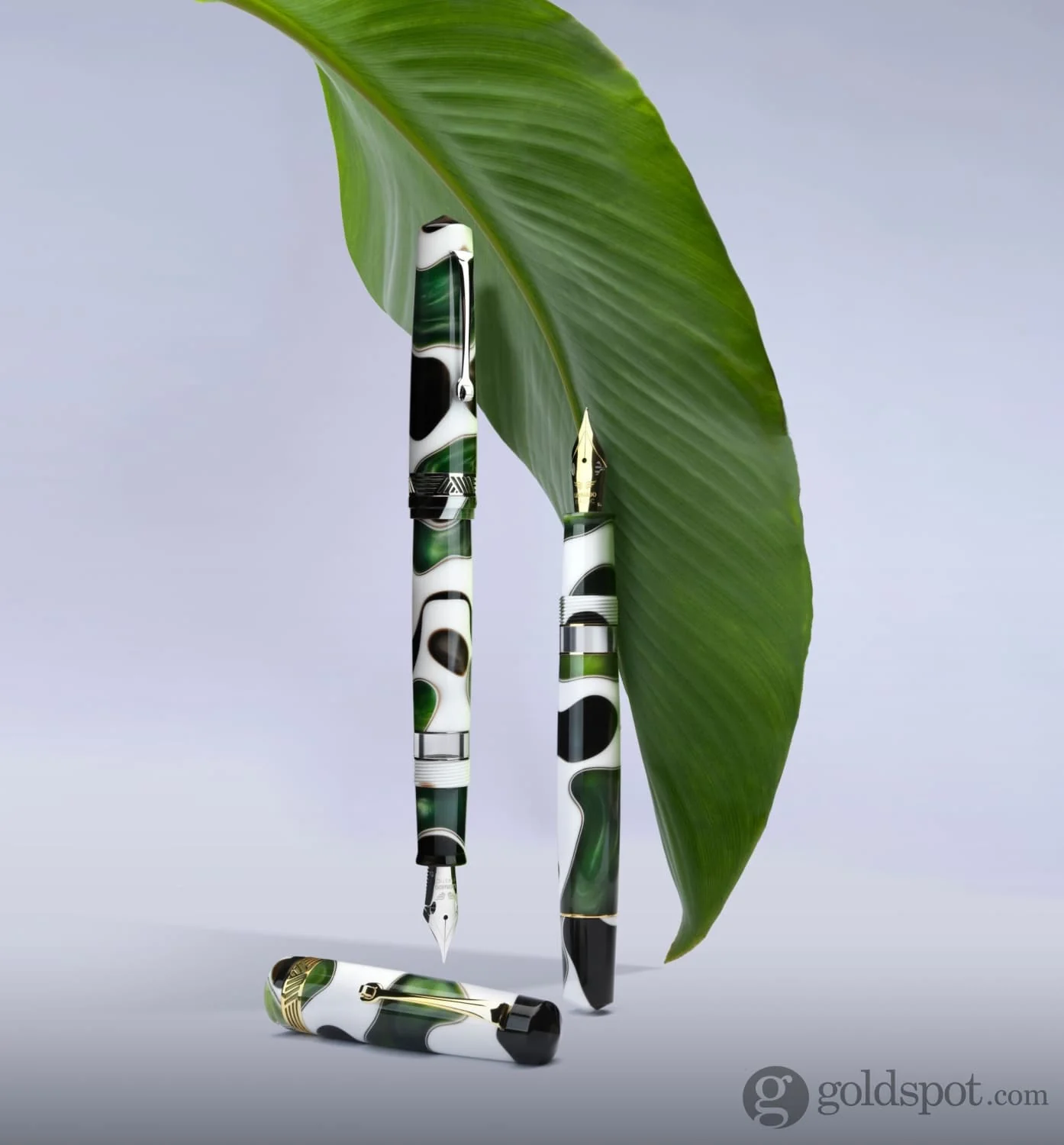 Leonardo Momento Magico Fountain Pen in Foglia - Image 5