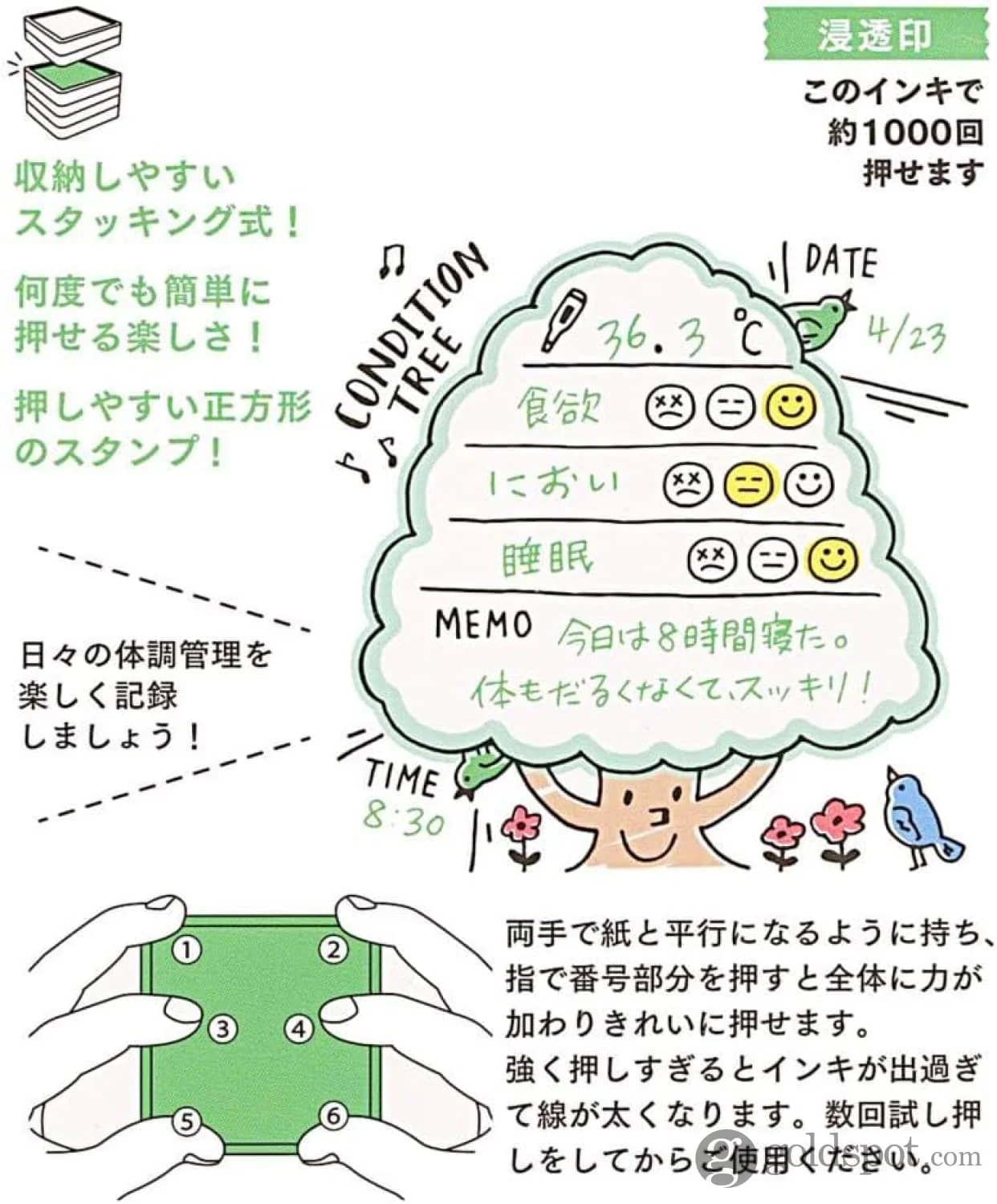Midori Paintable Stamp Pre-Inked in Health Management - Image 5