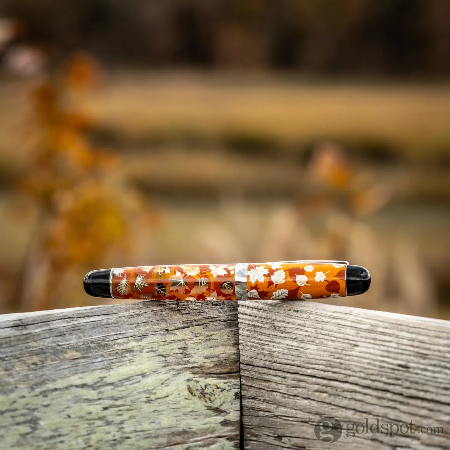 Opus 88 Mini Fountain Pen in Fall Leaves - Image 10