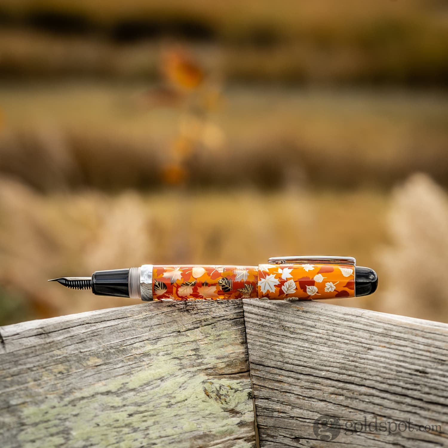 Opus 88 Mini Fountain Pen in Fall Leaves - Image 9