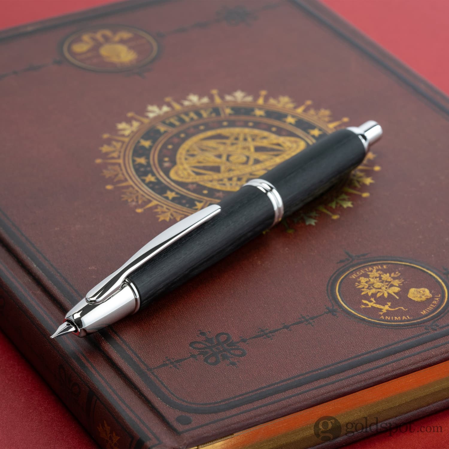 Pilot Vanishing Point Fountain Pen in Birchwood Black - 18K Gold - Image 4