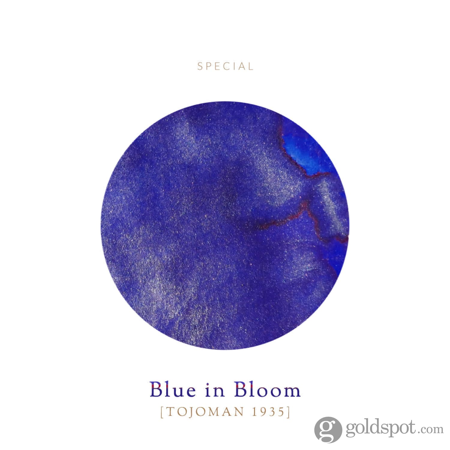 Vinta Inks Manila Pen Show 2025 Bottled Ink in Blue in Bloom [Tojoman 1935] - 30mL - Image 3