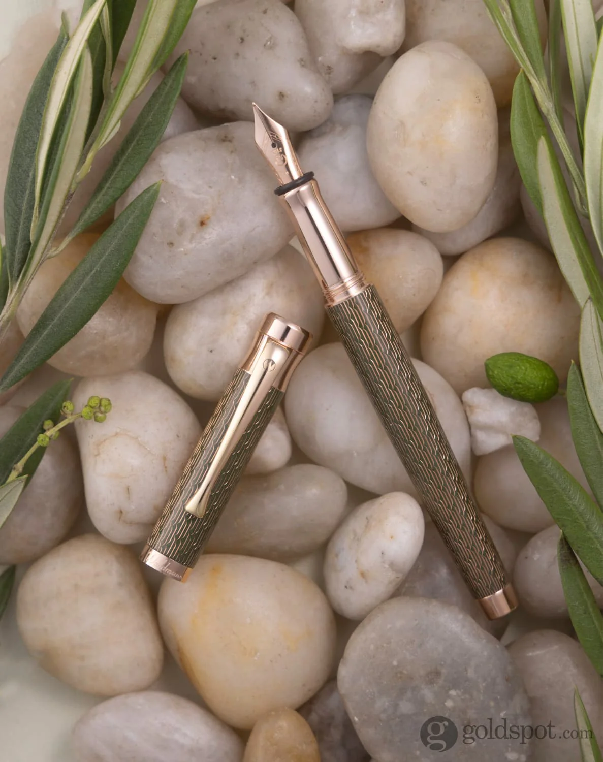 Waldmann Tango Imagination Fountain Pen in Olea - Image 12